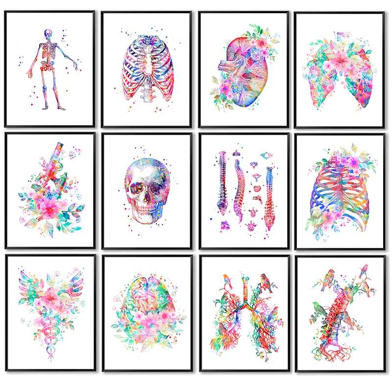 Anatomy Medical Poster Flower  - огляд і ціна Medical Lab Posters